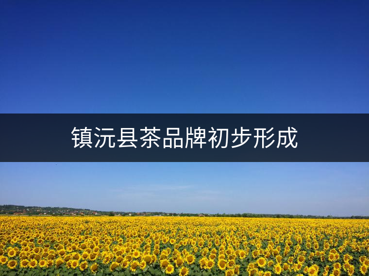 鎮(zhèn)沅縣茶品牌初步形成 鎮(zhèn)沅縣茶品牌初步形成
