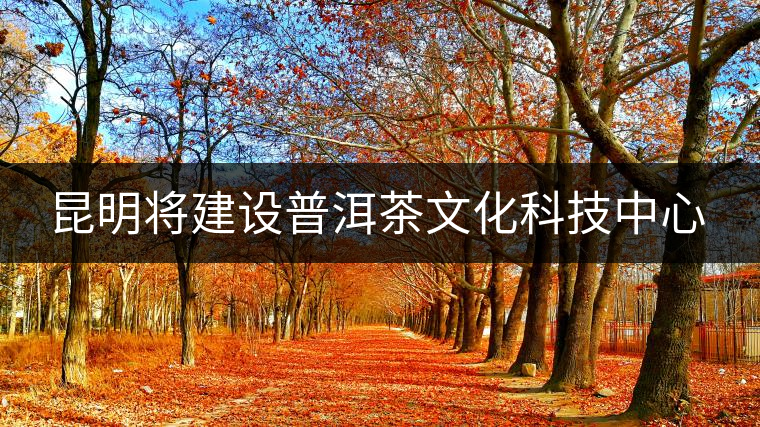 昆明將建設(shè)普洱茶文化科技中心 昆明將建設(shè)普洱茶文化科技中心