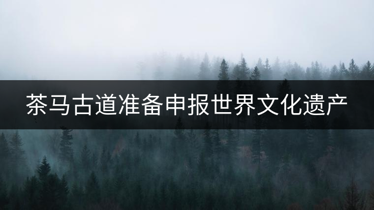 茶馬古道準備申報世界文化遺產(chǎn) 茶馬古道準備申報世界文化遺產(chǎn)