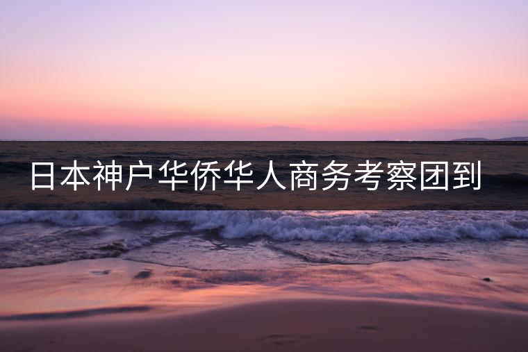 日本神戶華僑華人商務(wù)考察團到普洱市考察