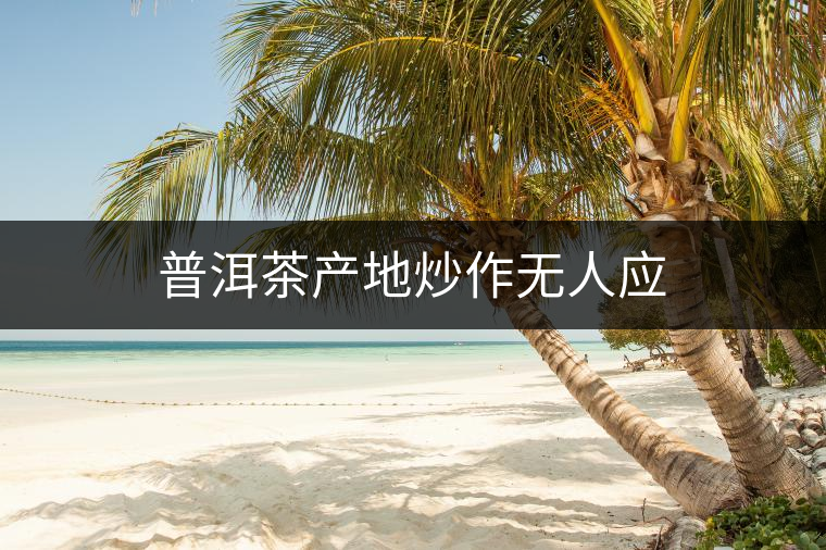 普洱茶產地炒作無人應 普洱茶產地炒作無人應