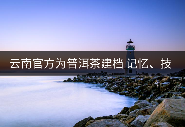 云南官方為普洱茶建檔 記憶、技藝雙傳承