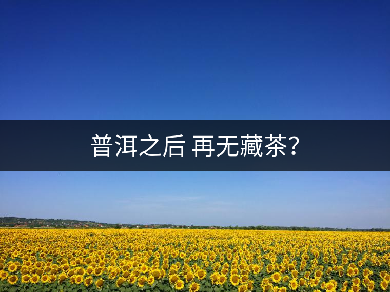 普洱之后 再無藏茶？