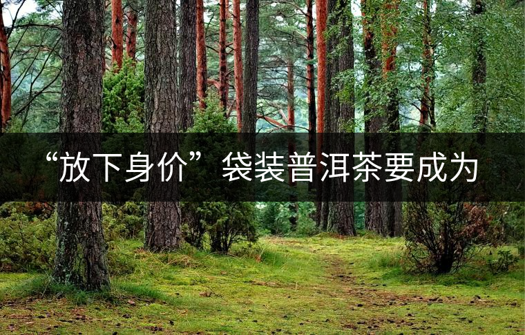 “放下身價(jià)”袋裝普洱茶要成為大眾飲品 “放下身價(jià)”袋裝普洱茶要成為大眾飲品