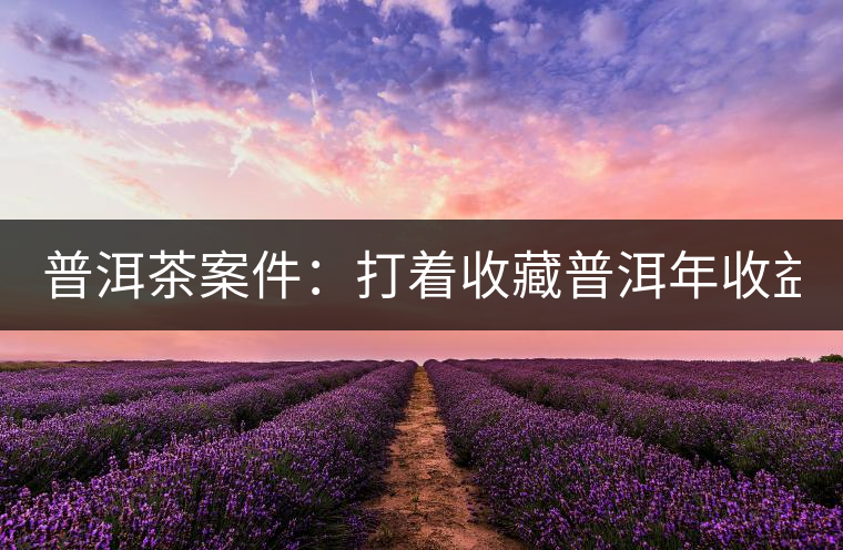 普洱茶案件：打著收藏普洱年收益不低于16%，非法吸收公眾存款