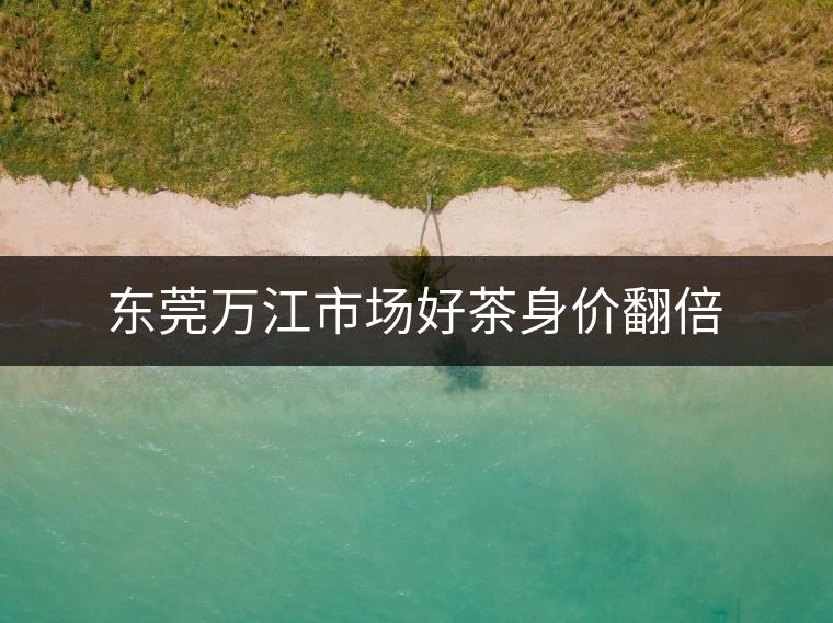 東莞萬江市場(chǎng)好茶身價(jià)翻倍 東莞萬江市場(chǎng)好茶身價(jià)翻倍