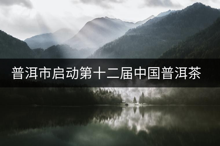 普洱市啟動(dòng)第十二屆中國普洱茶節(jié)籌備工作