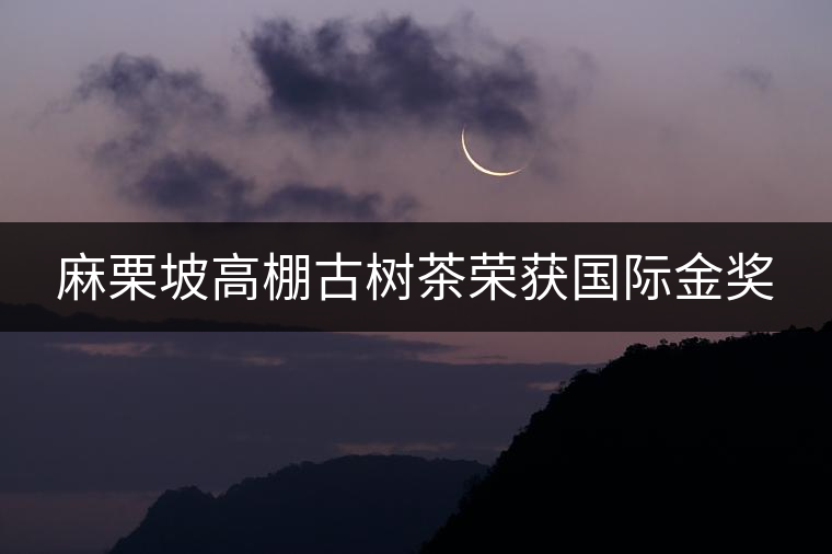 麻栗坡高棚古樹茶榮獲國際金獎