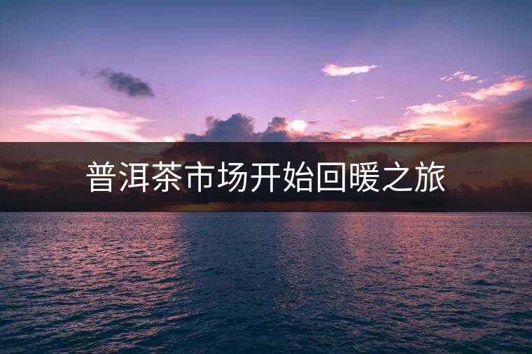 普洱茶市場開始回暖之旅 普洱茶市場開始回暖之旅