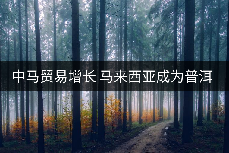 中馬貿(mào)易增長(zhǎng) 馬來(lái)西亞成為普洱茶主要出口國(guó)