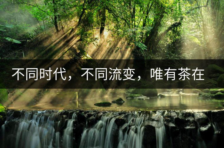 不同時(shí)代，不同流變，唯有茶在傳承