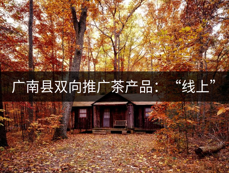 廣南縣雙向推廣茶產(chǎn)品：“線上”銷售茶葉已有100多家，“線下”銷售額已達(dá)百萬