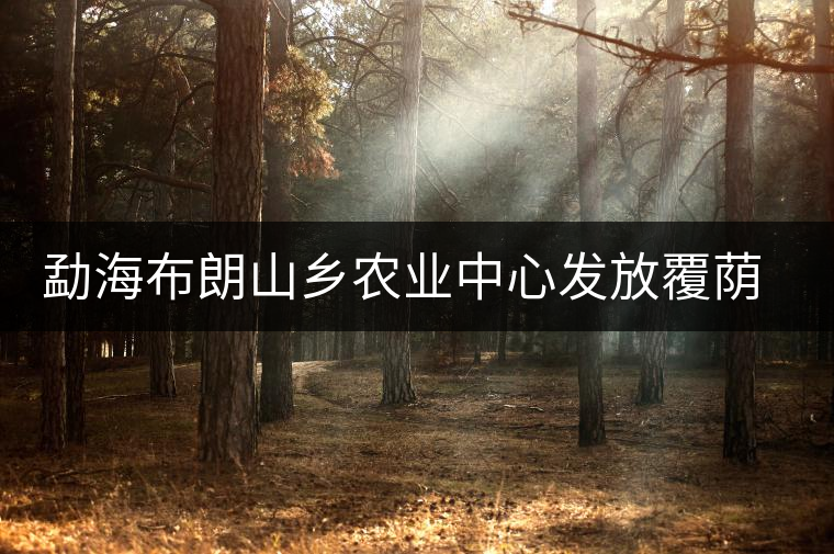 勐海布朗山鄉(xiāng)農(nóng)業(yè)中心發(fā)放覆蔭樹苗，創(chuàng)建衛(wèi)東生態(tài)茶園