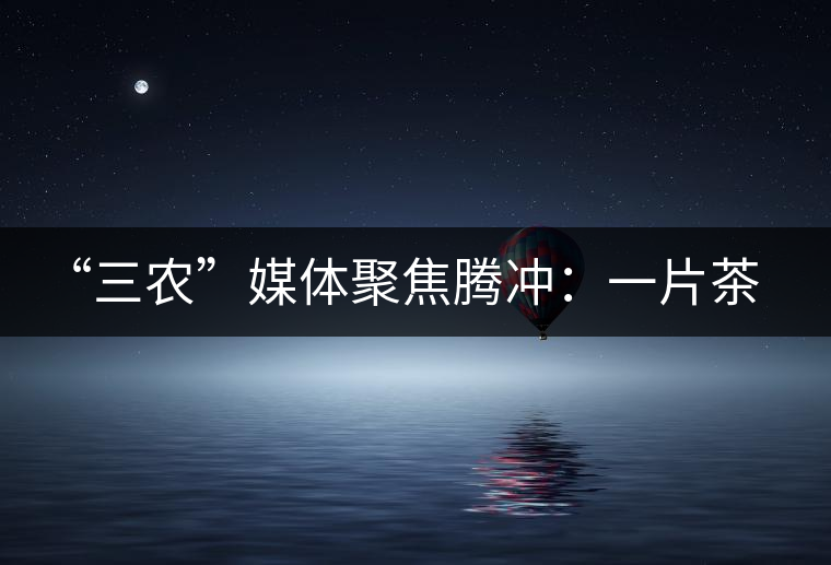 “三農(nóng)”媒體聚焦騰沖:一片茶葉寫(xiě)就脫貧及茶葉品牌的塑造 “三農(nóng)”媒體聚焦騰沖:一片茶葉寫(xiě)就脫貧及茶葉品牌的塑造