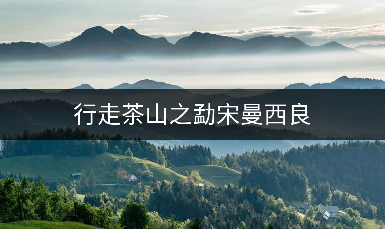 行走茶山之勐宋曼西良 行走茶山之勐宋曼西良