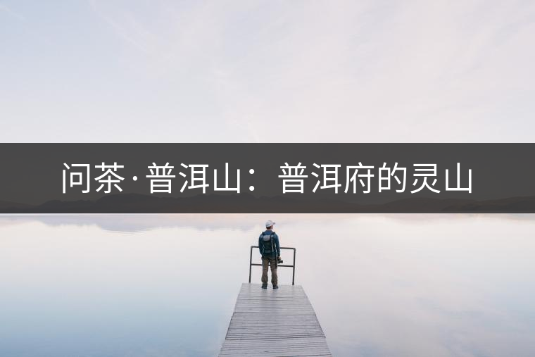 問(wèn)茶·普洱山：普洱府的靈山