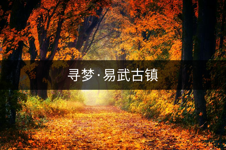尋夢(mèng)·易武古鎮(zhèn) 尋夢(mèng)·易武古鎮(zhèn)