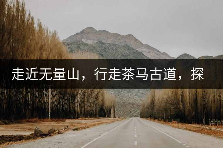 走近無量山，行走茶馬古道，探訪云南千年茶山