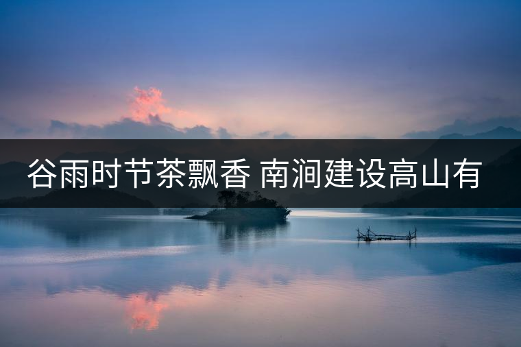 谷雨時(shí)節(jié)茶飄香 南澗建設(shè)高山有機(jī)茶葉生產(chǎn)基地 谷雨時(shí)節(jié)茶飄香 南澗建設(shè)高山有機(jī)茶葉生產(chǎn)基地