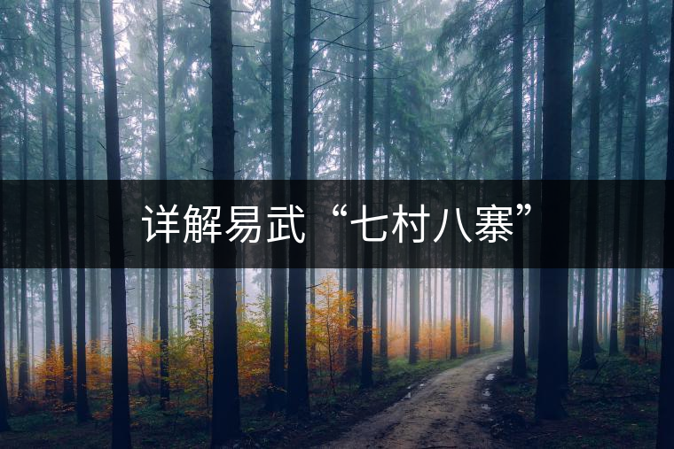 詳解易武“七村八寨”