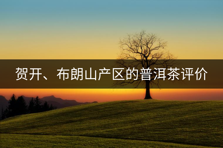 賀開、布朗山產(chǎn)區(qū)的普洱茶評價