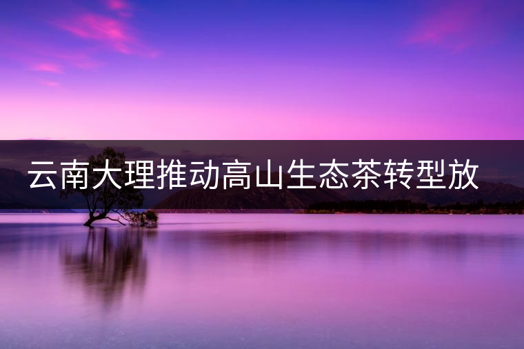 云南大理推動高山生態(tài)茶轉(zhuǎn)型放大產(chǎn)業(yè)優(yōu)勢