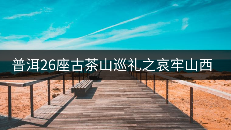 普洱26座古茶山巡禮之哀牢山西坡古茶山 普洱26座古茶山巡禮之哀牢山西坡古茶山