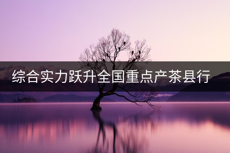 綜合實(shí)力躍升全國(guó)重點(diǎn)產(chǎn)茶縣行列 綜合實(shí)力躍升全國(guó)重點(diǎn)產(chǎn)茶縣行列