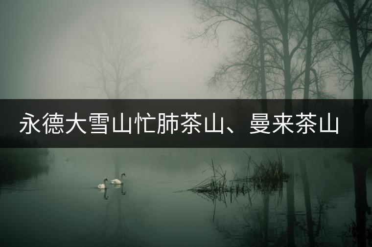 永德大雪山忙肺茶山、曼來(lái)茶山、放牛場(chǎng)茶園的生態(tài)指數(shù)