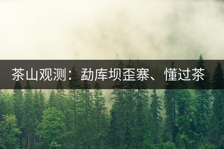 茶山觀測：勐庫壩歪寨、懂過茶山、大戶寨等茶山的生態(tài)指數(shù)