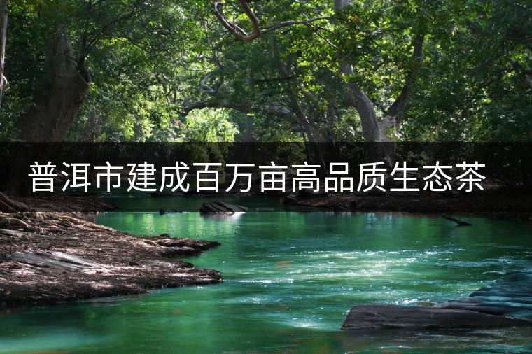 普洱市建成百萬(wàn)畝高品質(zhì)生態(tài)茶園 普洱市建成百萬(wàn)畝高品質(zhì)生態(tài)茶園