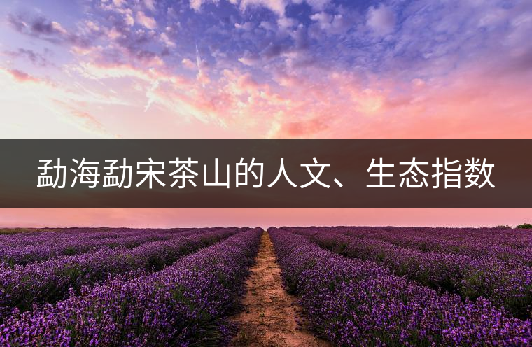 勐海勐宋茶山的人文、生態(tài)指數(shù)