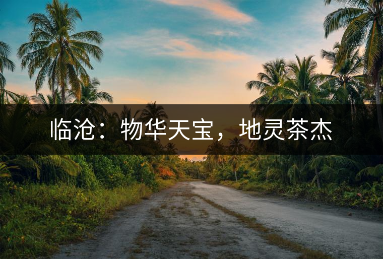 臨滄：物華天寶，地靈茶杰