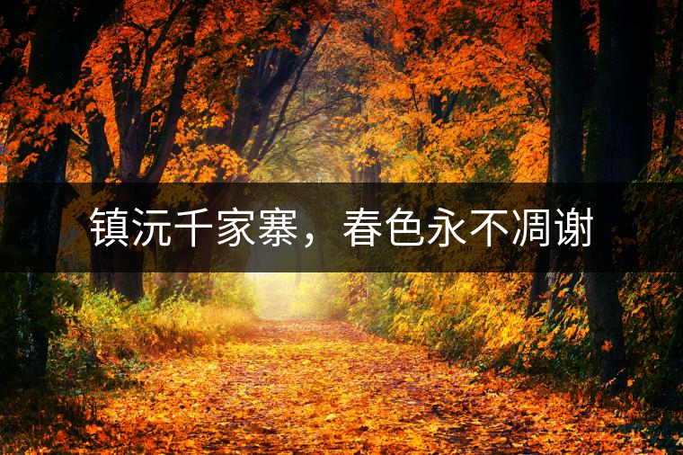 鎮(zhèn)沅千家寨，春色永不凋謝