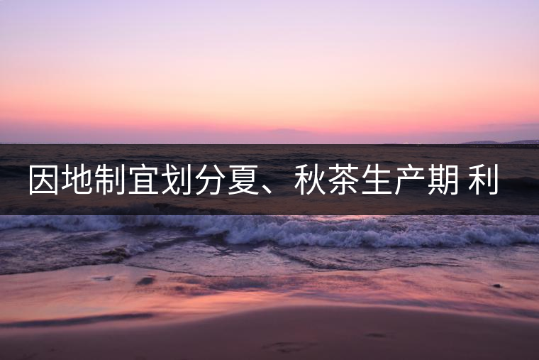 因地制宜劃分夏、秋茶生產(chǎn)期 利于采摘品質(zhì)