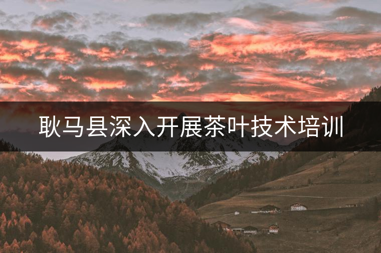 耿馬縣深入開展茶葉技術(shù)培訓(xùn) 耿馬縣深入開展茶葉技術(shù)培訓(xùn)