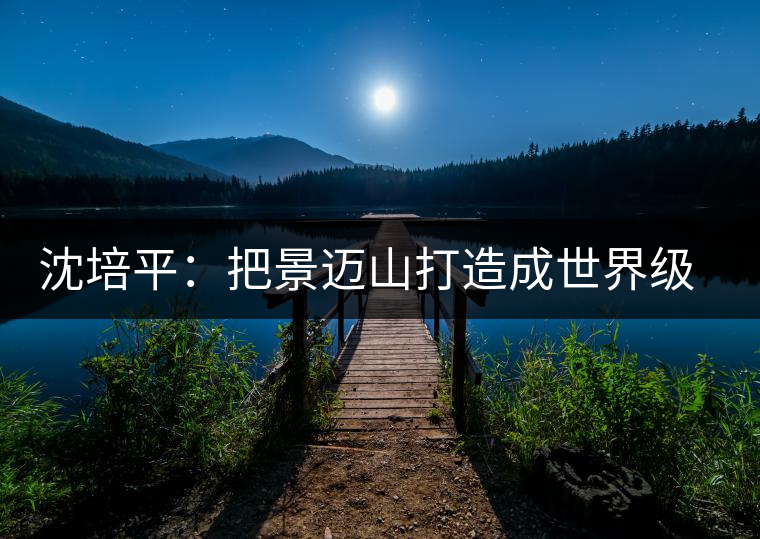 沈培平:把景邁山打造成世界級旅游品牌 沈培平:把景邁山打造成世界級旅游品牌