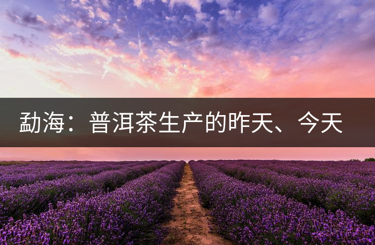 勐海：普洱茶生產(chǎn)的昨天、今天、明天