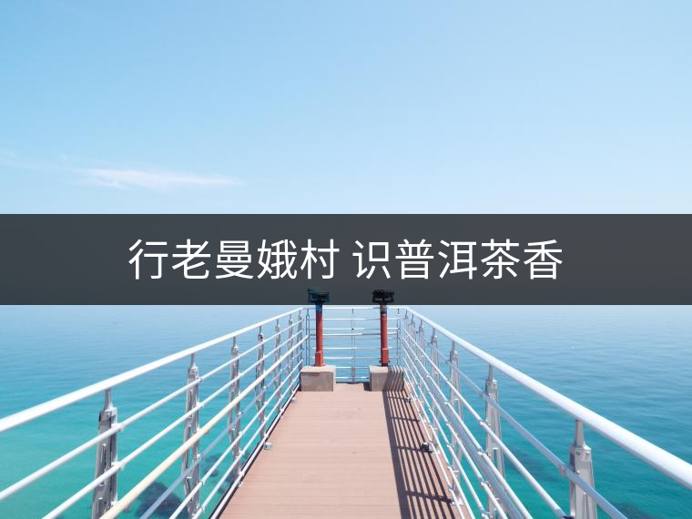 行老曼娥村 識(shí)普洱茶香