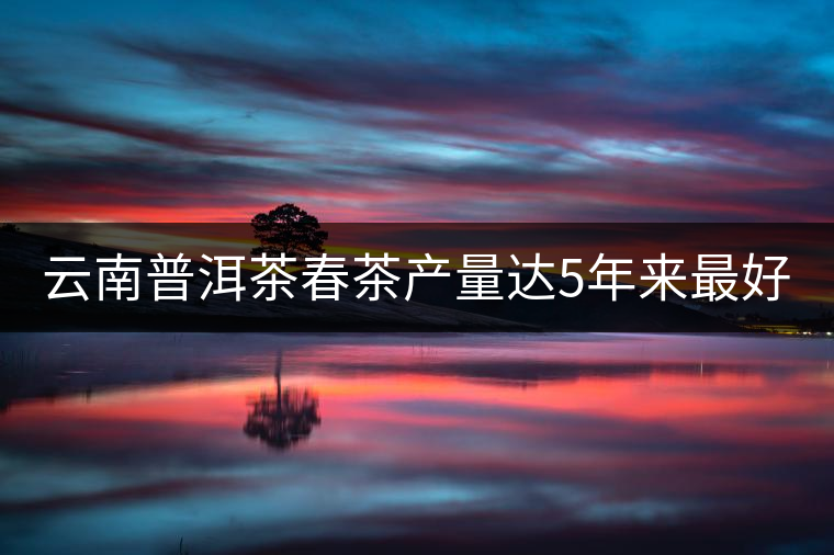 云南普洱茶春茶產(chǎn)量達5年來最好