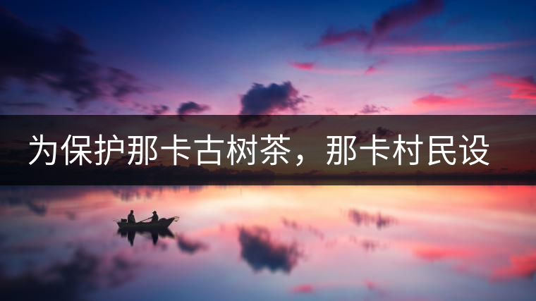 為保護那卡古樹茶，那卡村民設公約牌