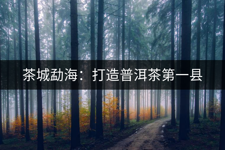 茶城勐海:打造普洱茶第一縣 茶城勐海:打造普洱茶第一縣