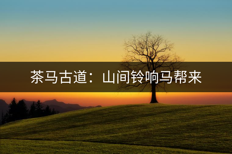 茶馬古道：山間鈴響馬幫來