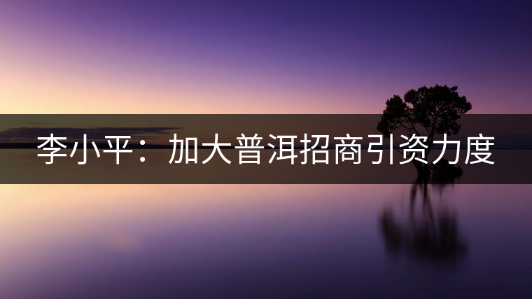 李小平：加大普洱招商引資力度