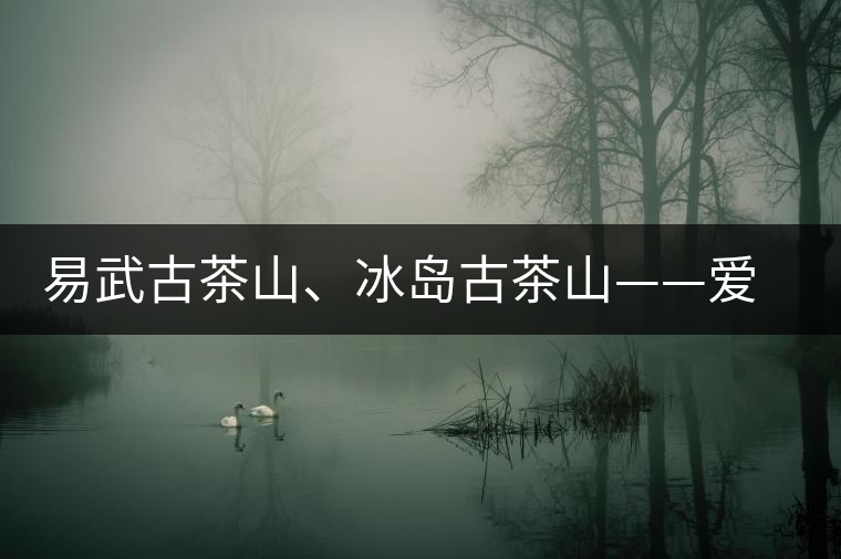 易武古茶山、冰島古茶山——愛茶人的旅游選擇