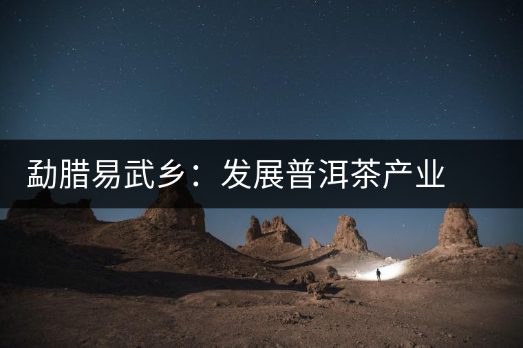 勐臘易武鄉(xiāng):發(fā)展普洱茶產(chǎn)業(yè) 打造“中國(guó)貢茶第一鎮(zhèn)” 勐臘易武鄉(xiāng):發(fā)展普洱茶產(chǎn)業(yè) 打造“中國(guó)貢茶第一鎮(zhèn)”