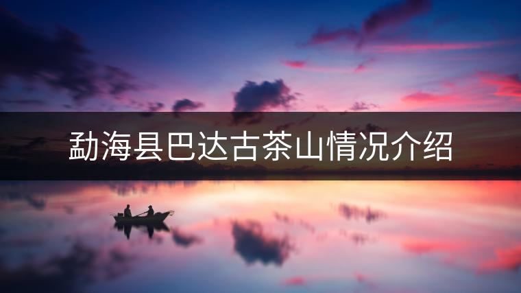 勐?？h巴達(dá)古茶山情況介紹