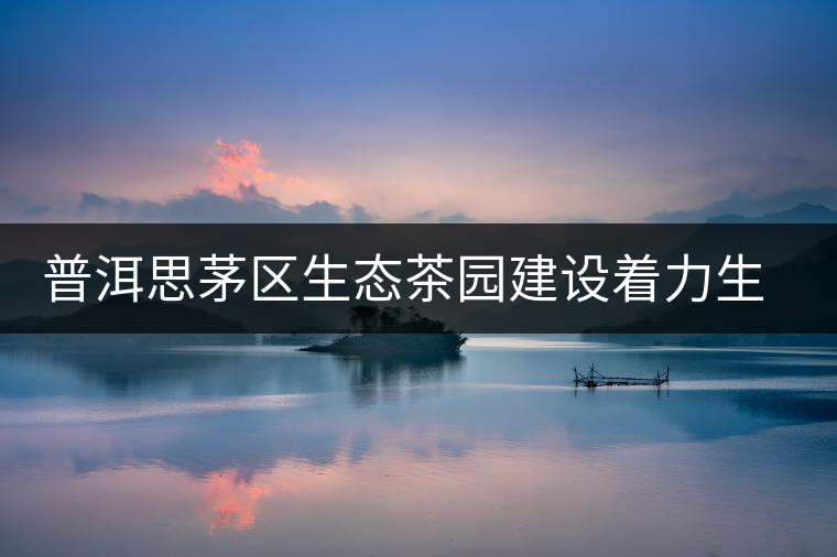 普洱思茅區(qū)生態(tài)茶園建設(shè)著力生物多樣性立體復(fù)合式