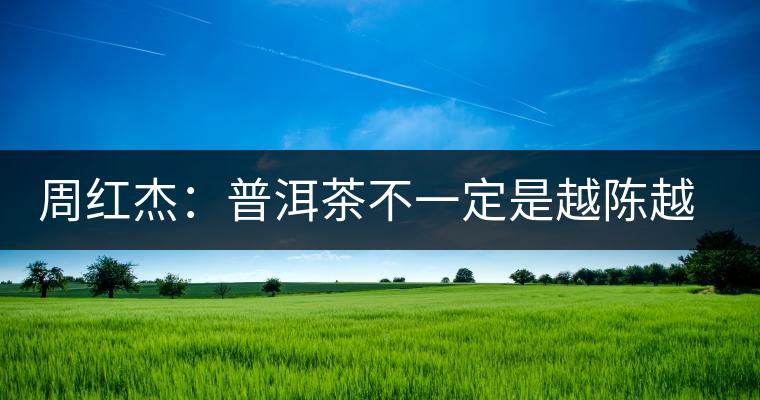 周紅杰：普洱茶不一定是越陳越香、越陳越好
