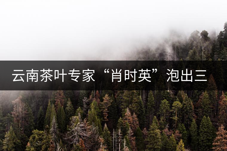 云南茶葉專家“肖時英”泡出三道茶